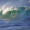 Port Elizabeth, Eastern Cape