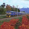 Blue Train Journey Pretoria to Cape Town Blue Train Journey Pretoria to Cape Town