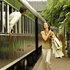Rovos Rail Golf Safari Journey Rovos Rail Golf Safari Journey