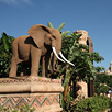 The Sun City and Pilanesberg National Park Tour The Sun City and Pilanesberg National Park Tour