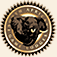 South African Game Lodges
