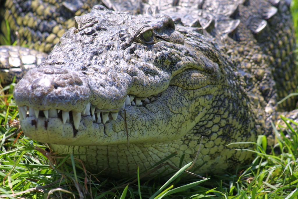 Croc Valley Nature Reserve