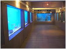 East London Aquarium East London Aquarium