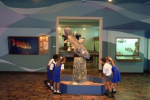 East London Museum East London Museum