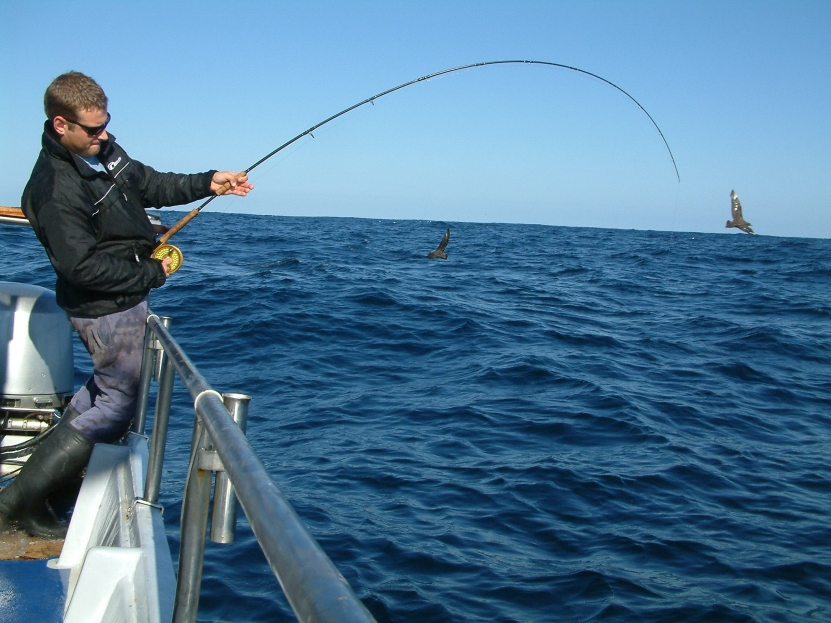 Tuna Fishing Cape Town