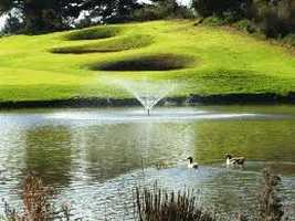 Goose Valley Golf Club