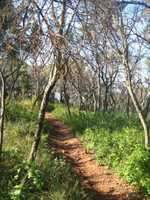 Groenkloof Nature Reserve