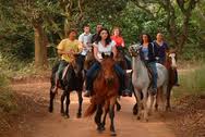 Guided Horse Trails in Stanford