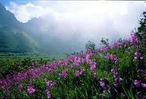 Jonkershoek Nature Reserve