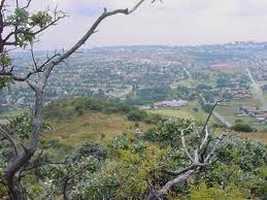 Klipriviersberg Nature Reserve