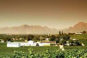Laborie Estate