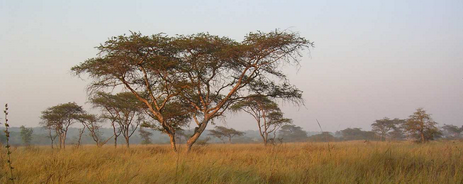 North Western Zambia