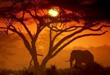 The Wild and Scenic Mpumalanga Tour