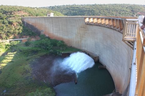 Pongola
