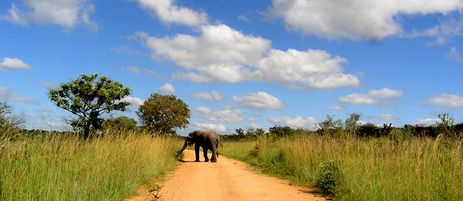 Northern Kruger Park