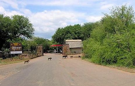 Southern Kruger Park