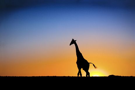 Kgalagadi Region