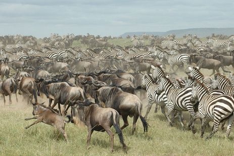 Makgadikgadi Pans