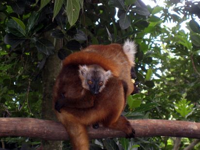 Nosy Iranja Island