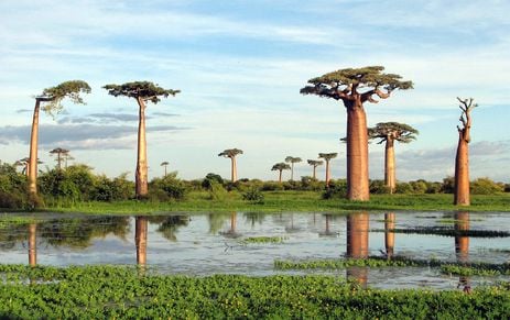 Mahajanga Province