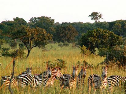 Central Zambian Region