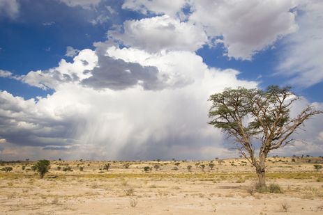 Central Kalahari Game Reserve