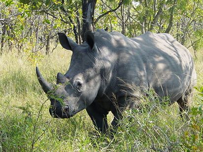 Southern Swaziland