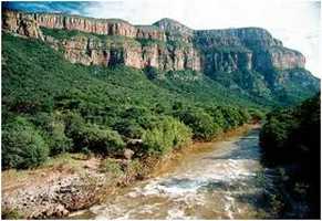 Marloth Nature Reserve