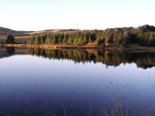 Midmar Dam Nature Reserve Midmar Dam Nature Reserve