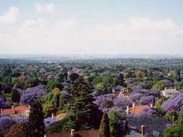 Munro Drive and Lookout Point