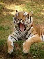 National Zoological Gardens Pretoria