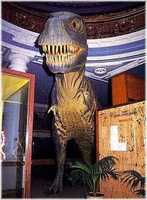 Natural Science Museum
