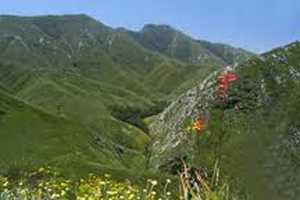 Outeniqua Nature Reserve