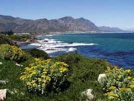 Scenic Day Drive Overberg