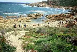 Oyster Catcher Hiking Trail