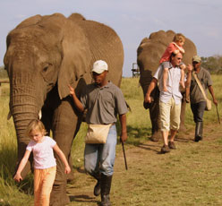 Elephant Sanctuary - Plettenberg Bay Elephant Sanctuary - Plettenberg Bay