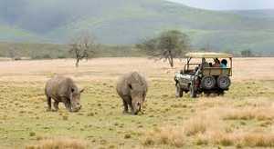 Plettenberg Bay Game Reserve