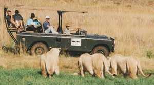 Rhino and Lion Nature Reserve