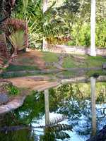 Riverbend Crocodile Farm