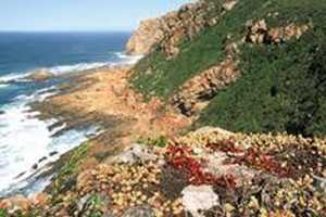 Robberg Nature Reserve
