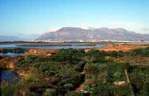 Rondevlei Nature Reserve