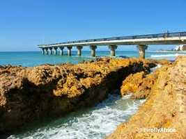 Shark Rock Pier