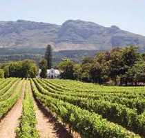 Stellenbosch & Cape Wine Route