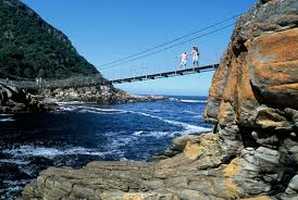 The Dolphin Trail