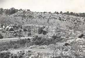 The Wilds