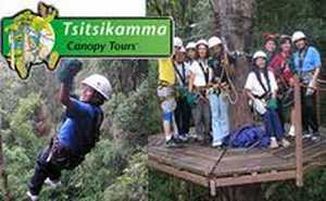Tsitsikamma Canopy Tour