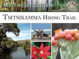 Tsitsikamma Mountain Trail