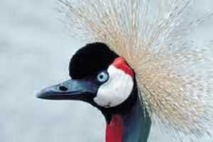 Umdoni Bird Sanctuary