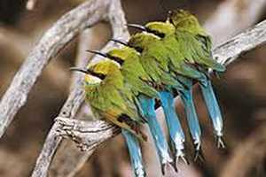 Umgeni River Bird Park