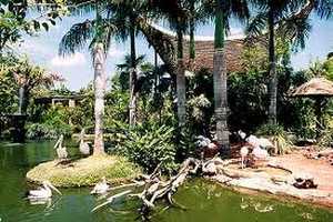 Uvongo Bird Park